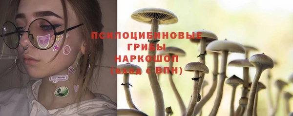 соль курить ск Заводоуковск