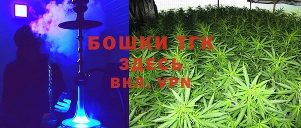 соль курить ск Заводоуковск
