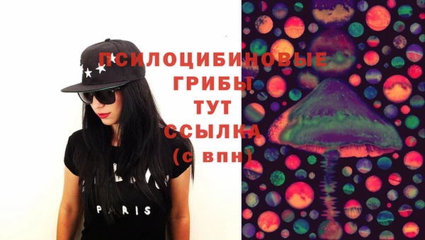 ПСИЛОЦИБИНОВЫЕ ГРИБЫ Заволжск